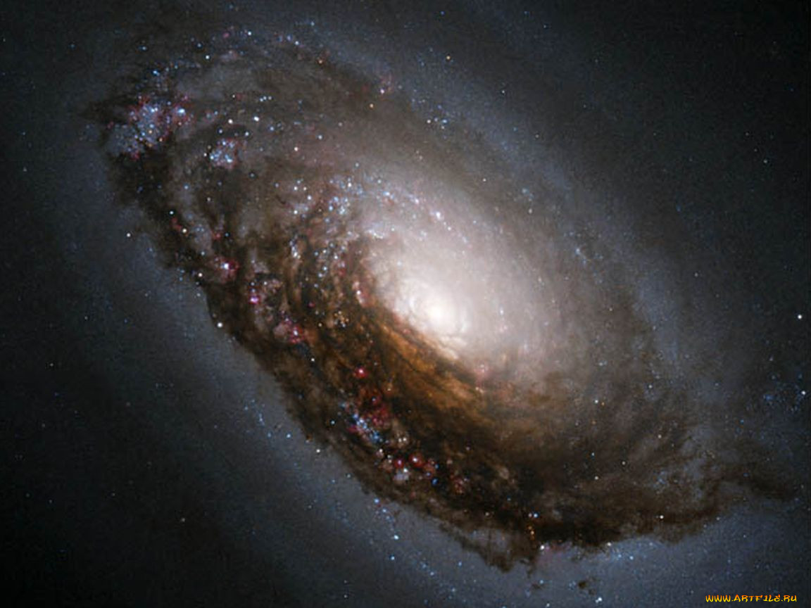 m64, , , 